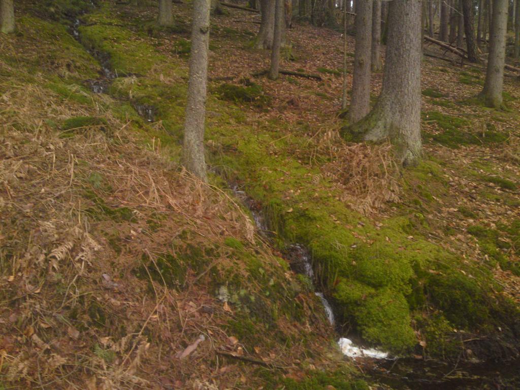 ホテルLandgasthof Waldfrieden Wildensee エクステリア 写真