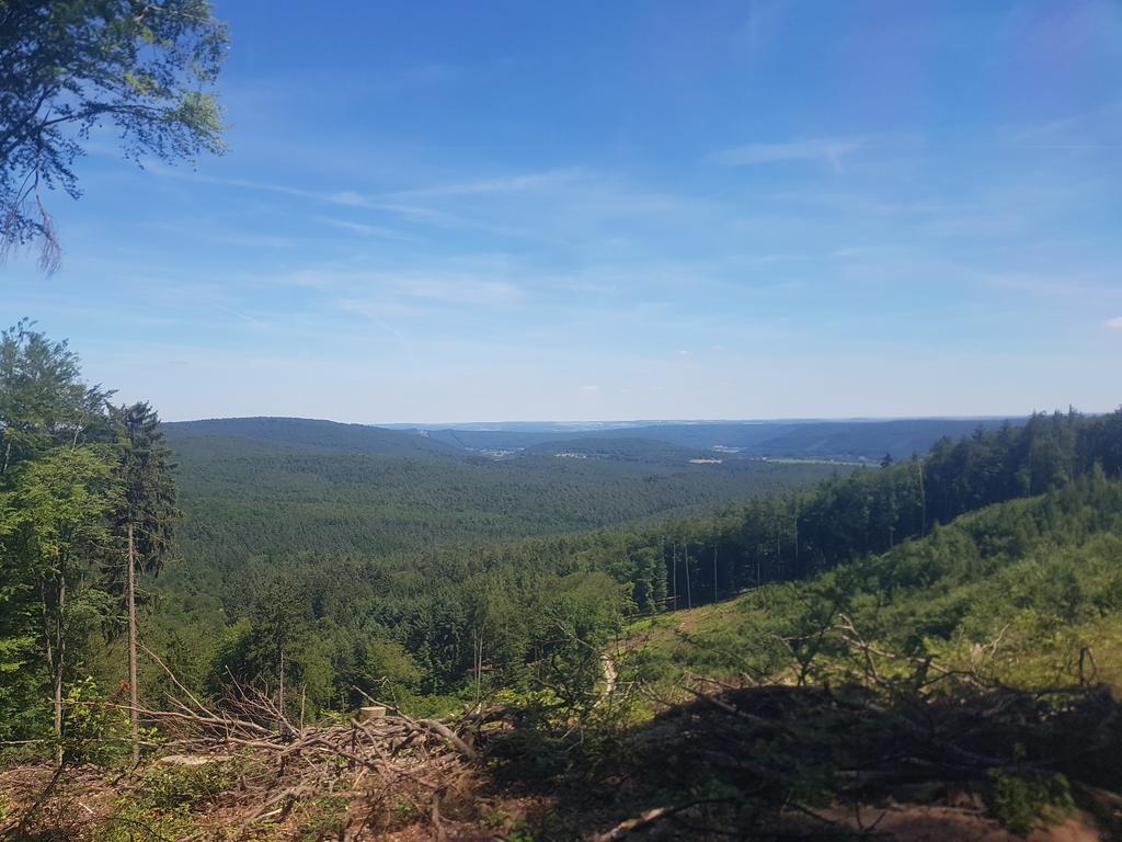 ホテルLandgasthof Waldfrieden Wildensee エクステリア 写真